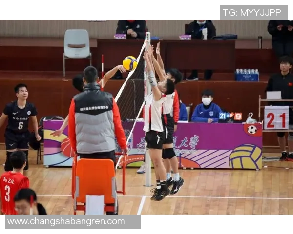 成都排球队在邀请赛中的强势表现与未来发展潜力分析