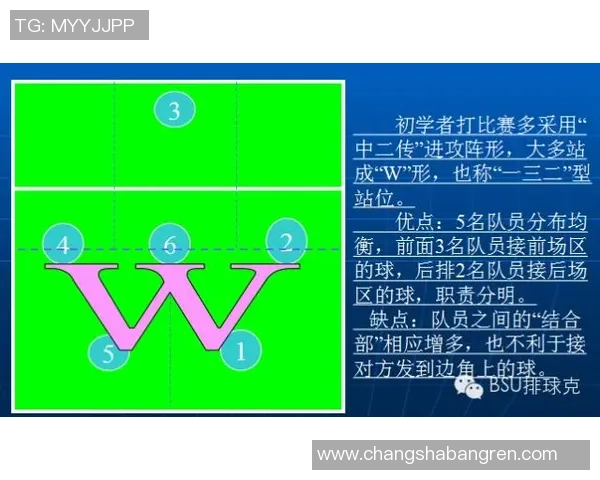 杭州排球队防守分析与战术调整的得失评估